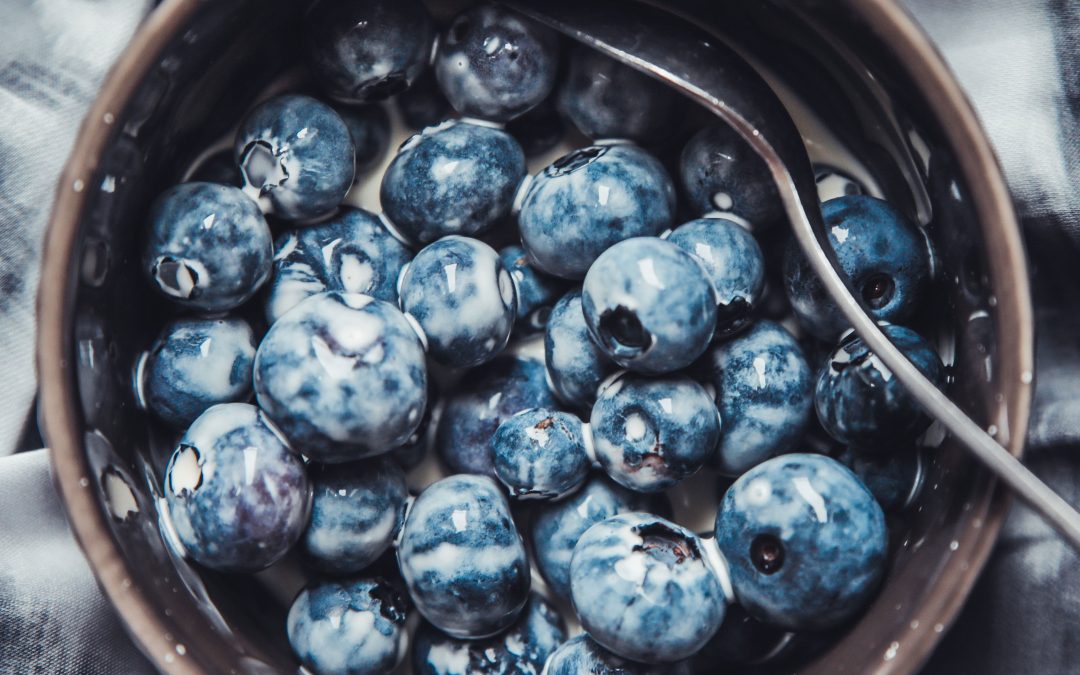 rodinis blueberries health