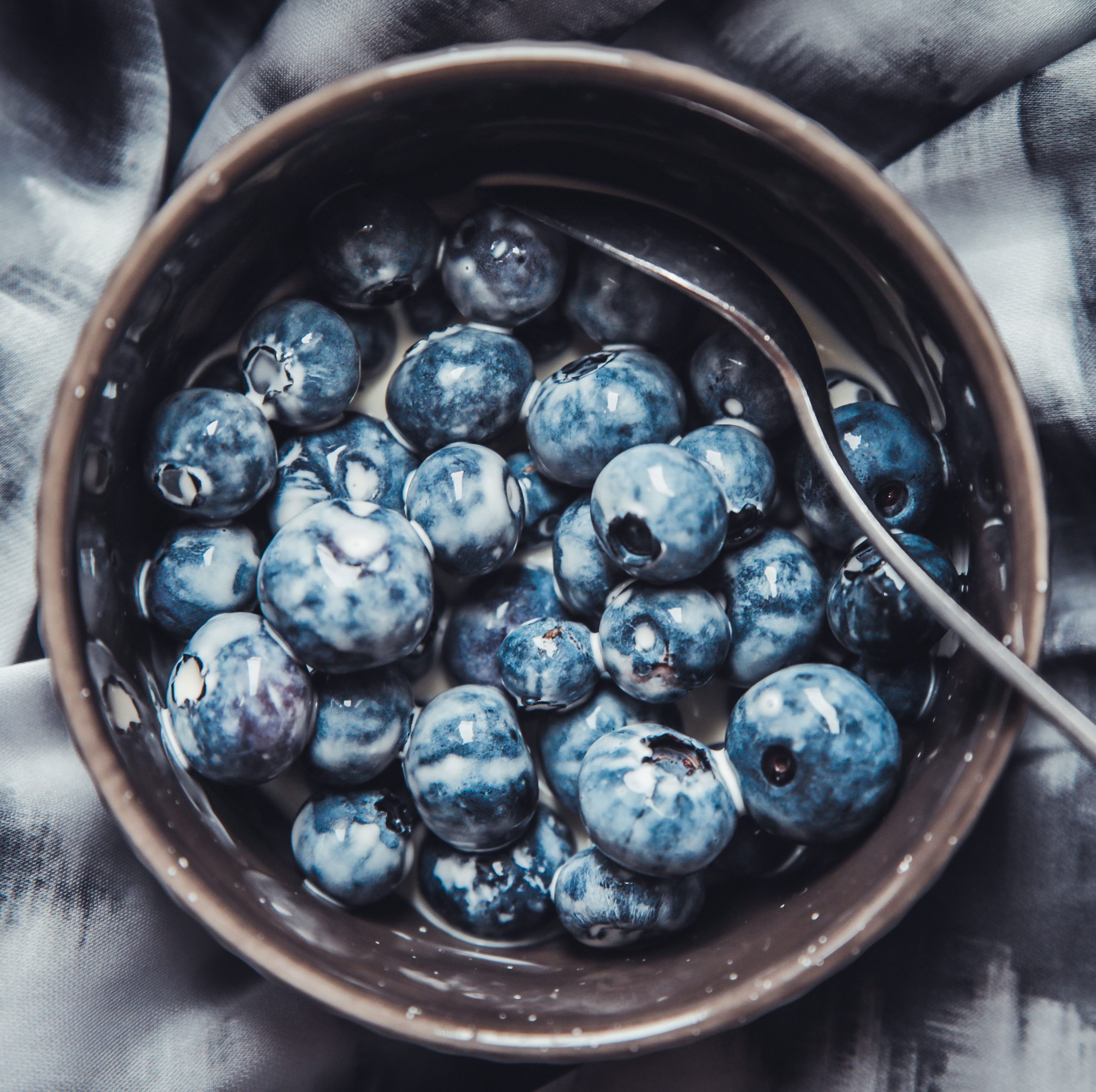 rodinis blueberries health